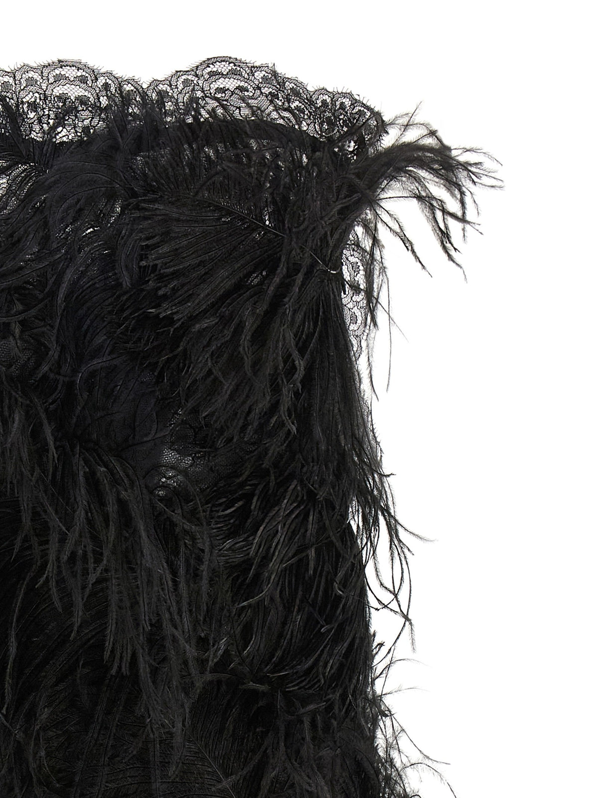 Lace and feather dress