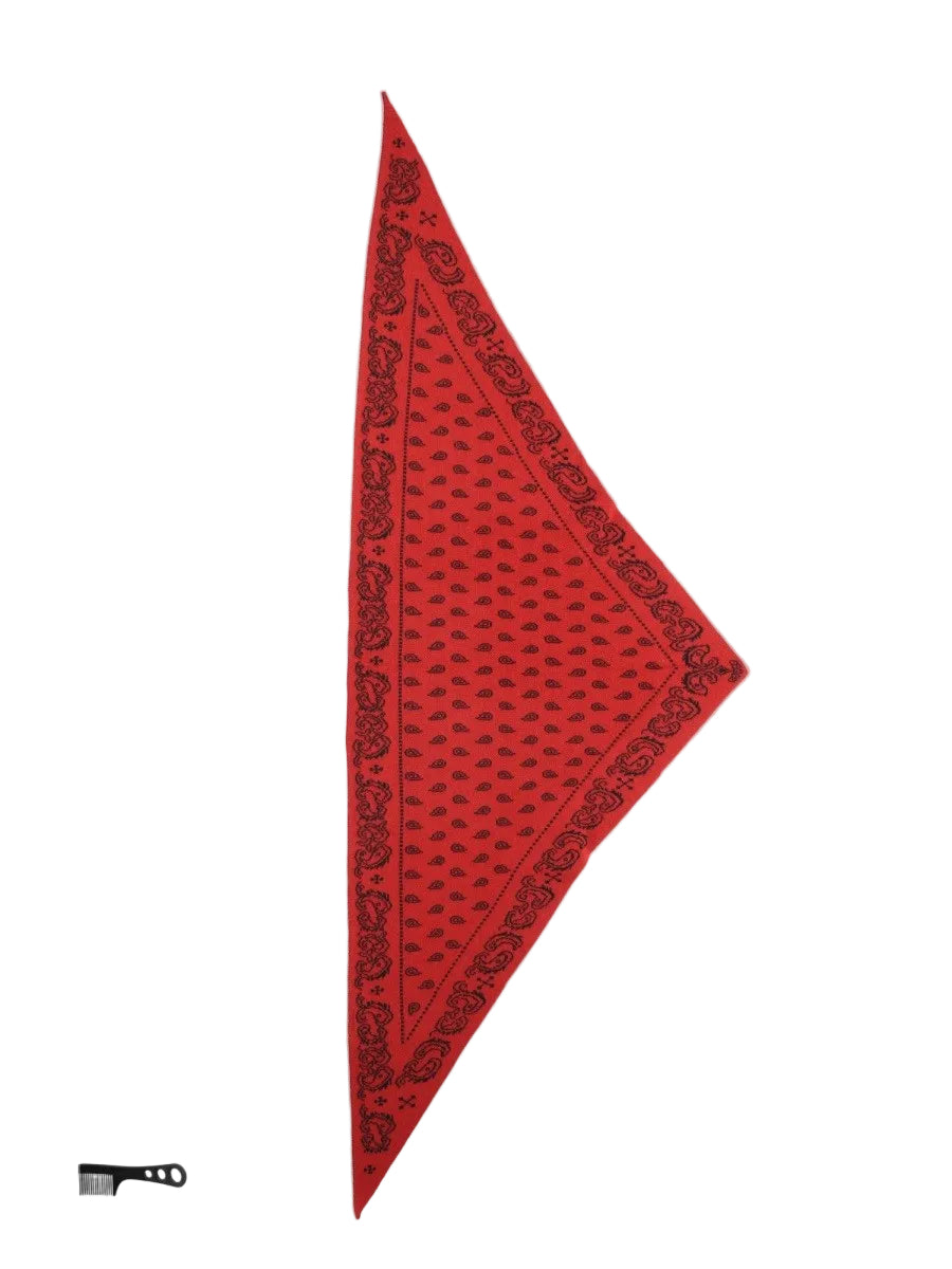 Sciarpa "The Wild Rag" con Motivo Paisley