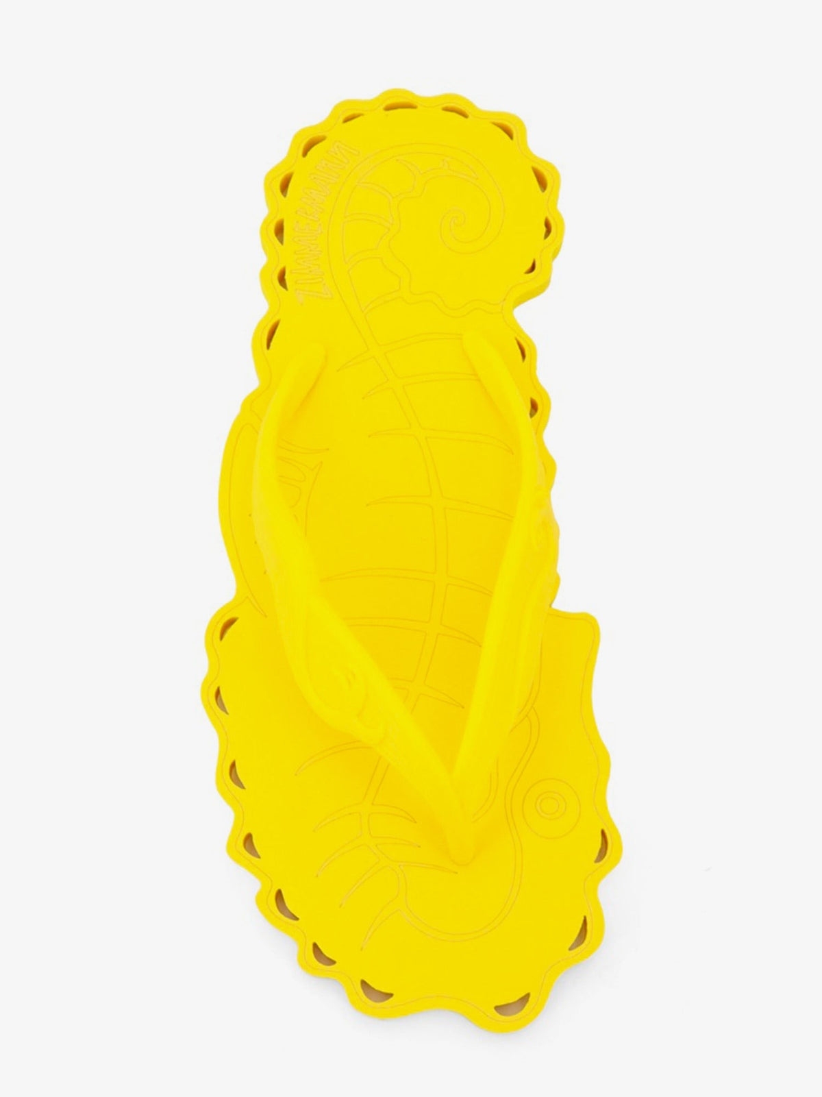 Seafoam Thong Rubber Flip Flops