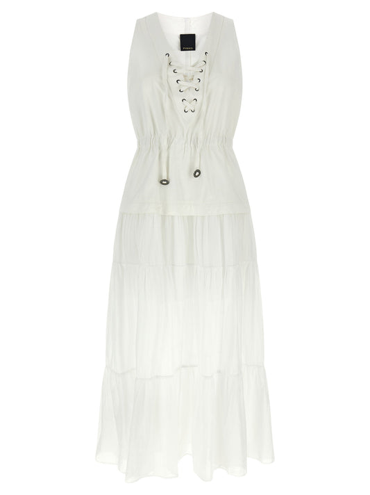 Pinko Casarsa Dress