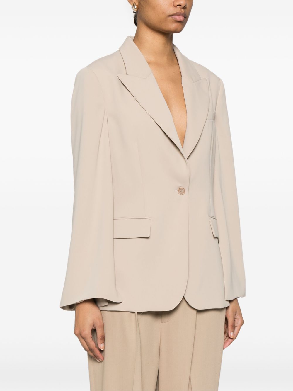 Parosh Parosh P.A.R.O.S.H. Single-Breasted Blazer
