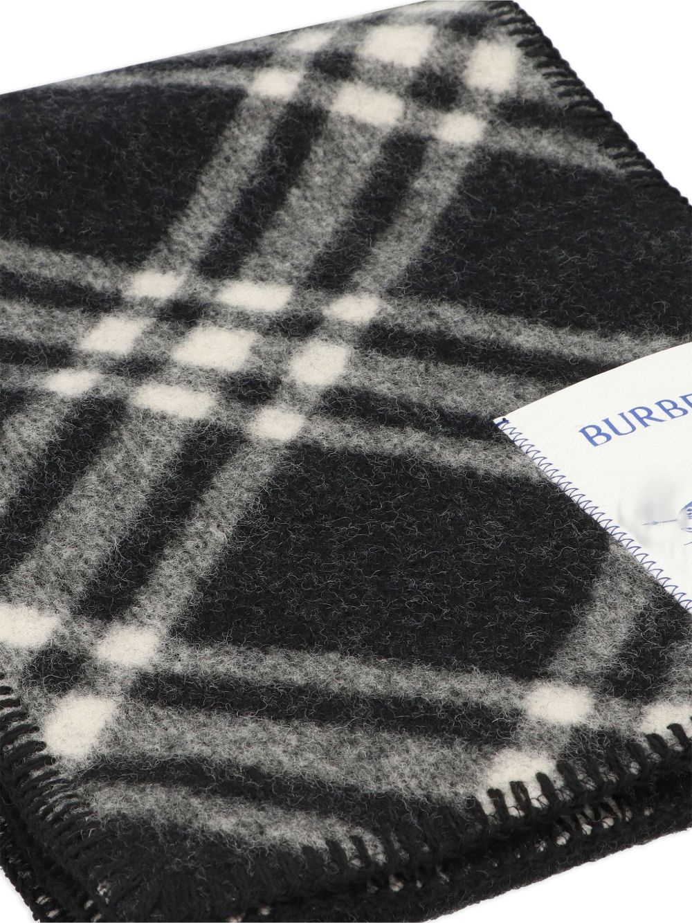 Burberry Scarfs