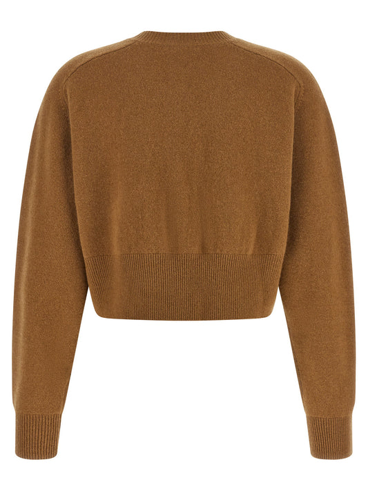 Elisabetta Franchi Cardigan Tricot