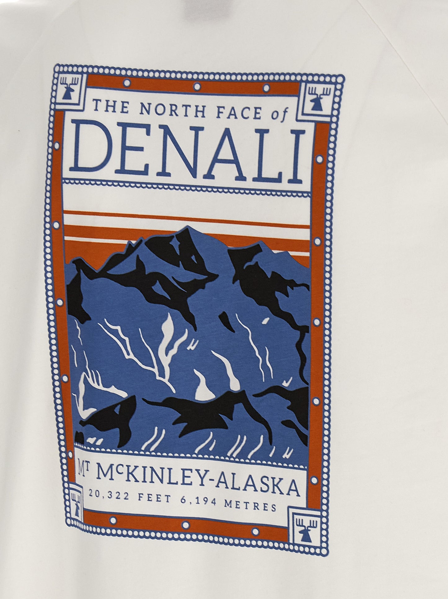 The North Face The North Face North Faces T-shirt