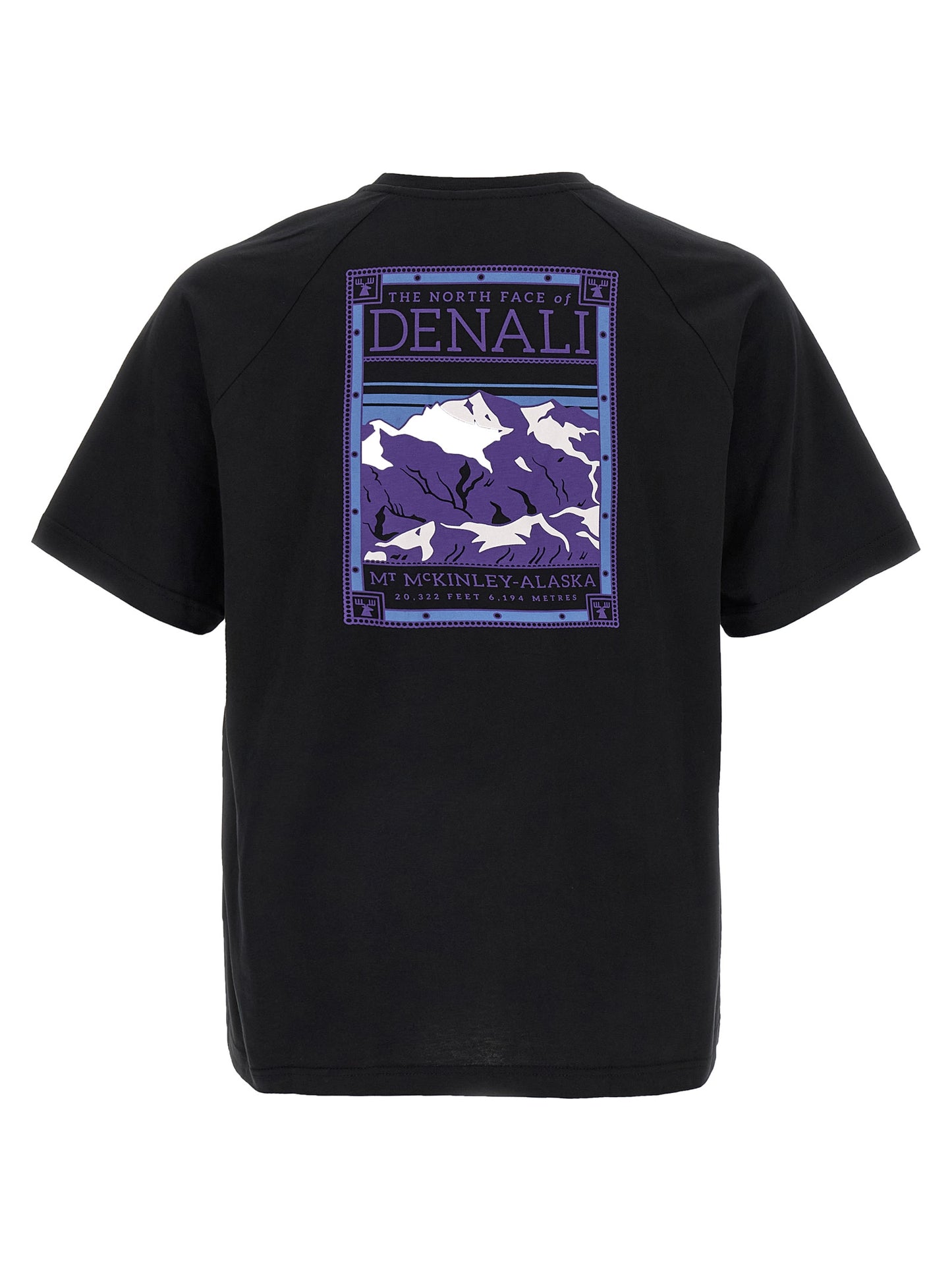 The North Face The North Face North Faces T-shirt