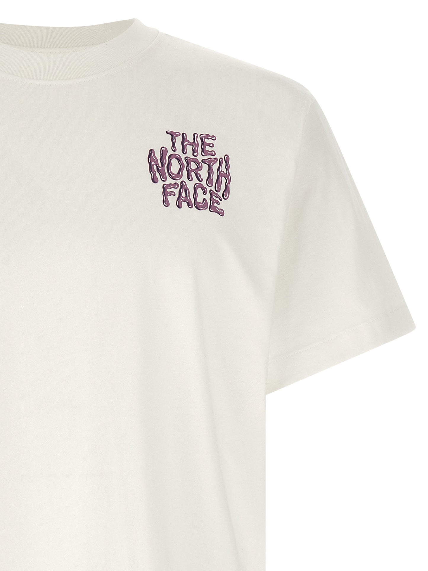 The North Face The North Face Drip Logo T-shirt