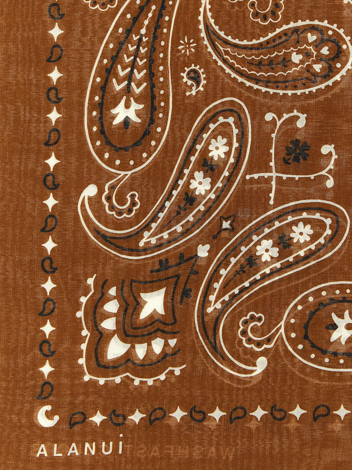 Bandana Paisley