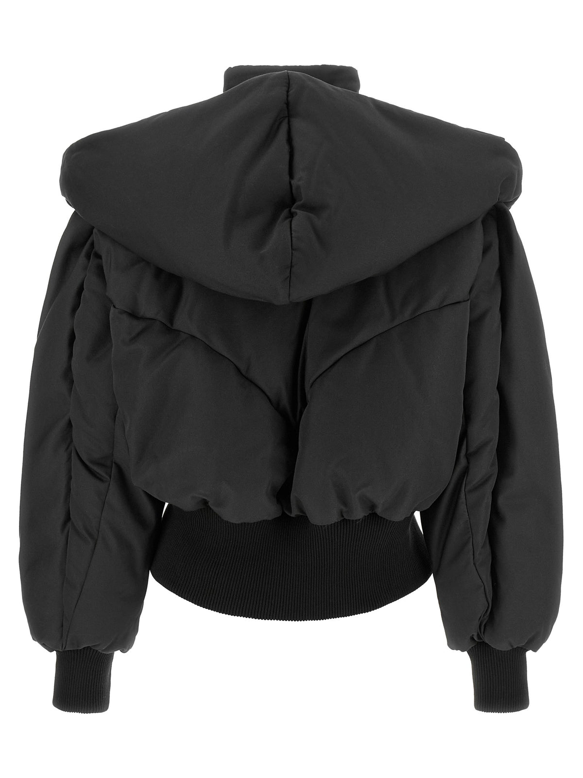 Convertible neck down jacket