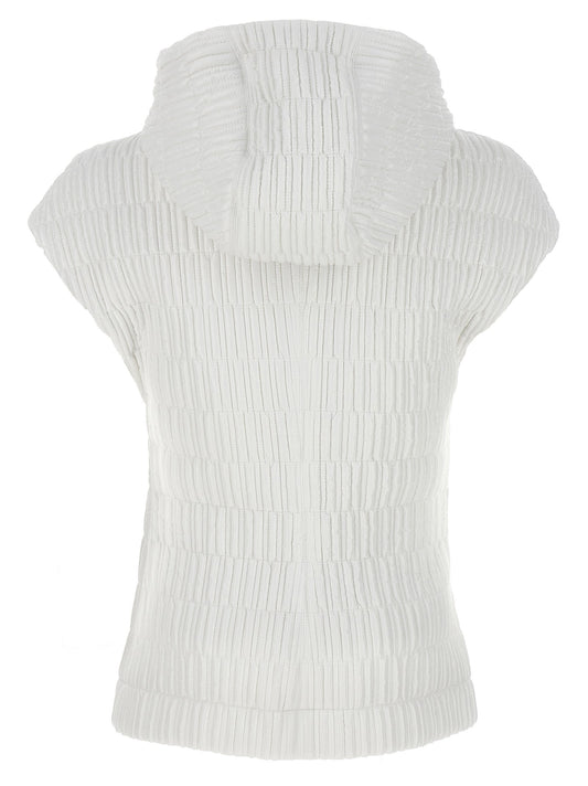 Hooded vest