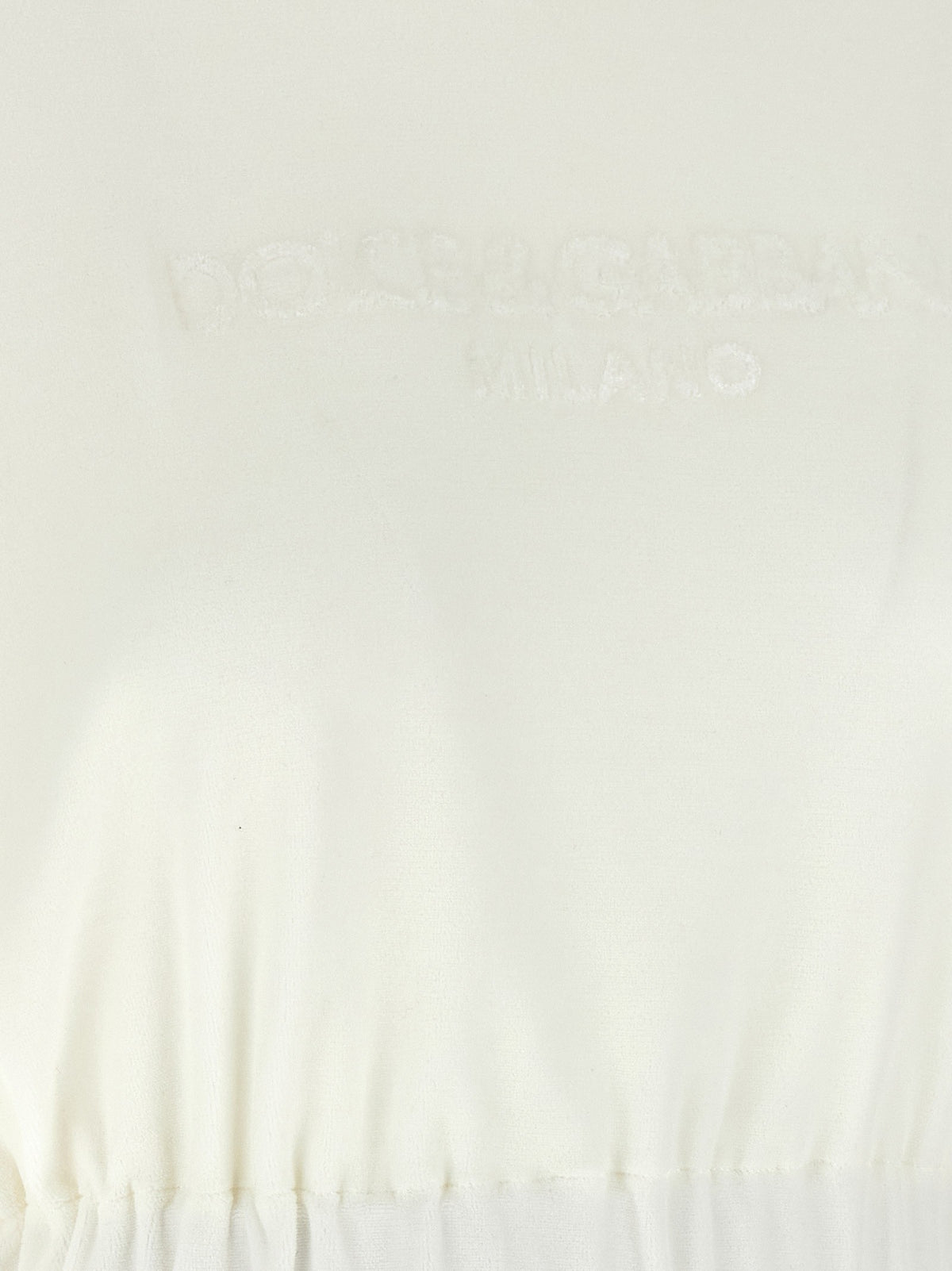 شعار علوي من الشنيل