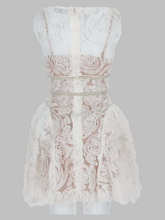 Mini Abito in Tulle e Pizzo