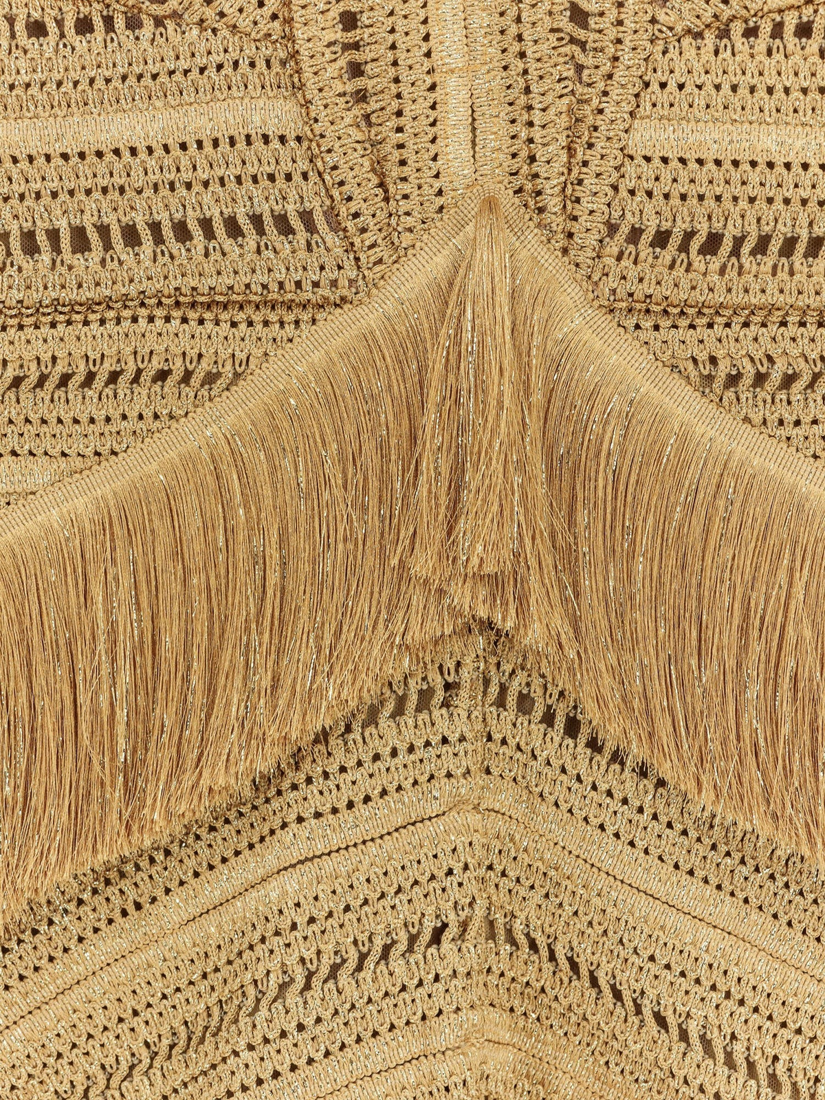 Pampas mini dress with embroidery and fringes