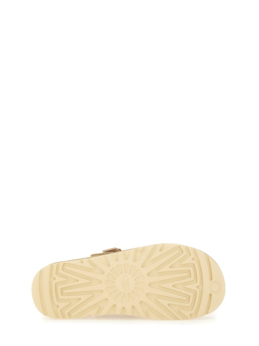 SABOT GOLDENSTAR