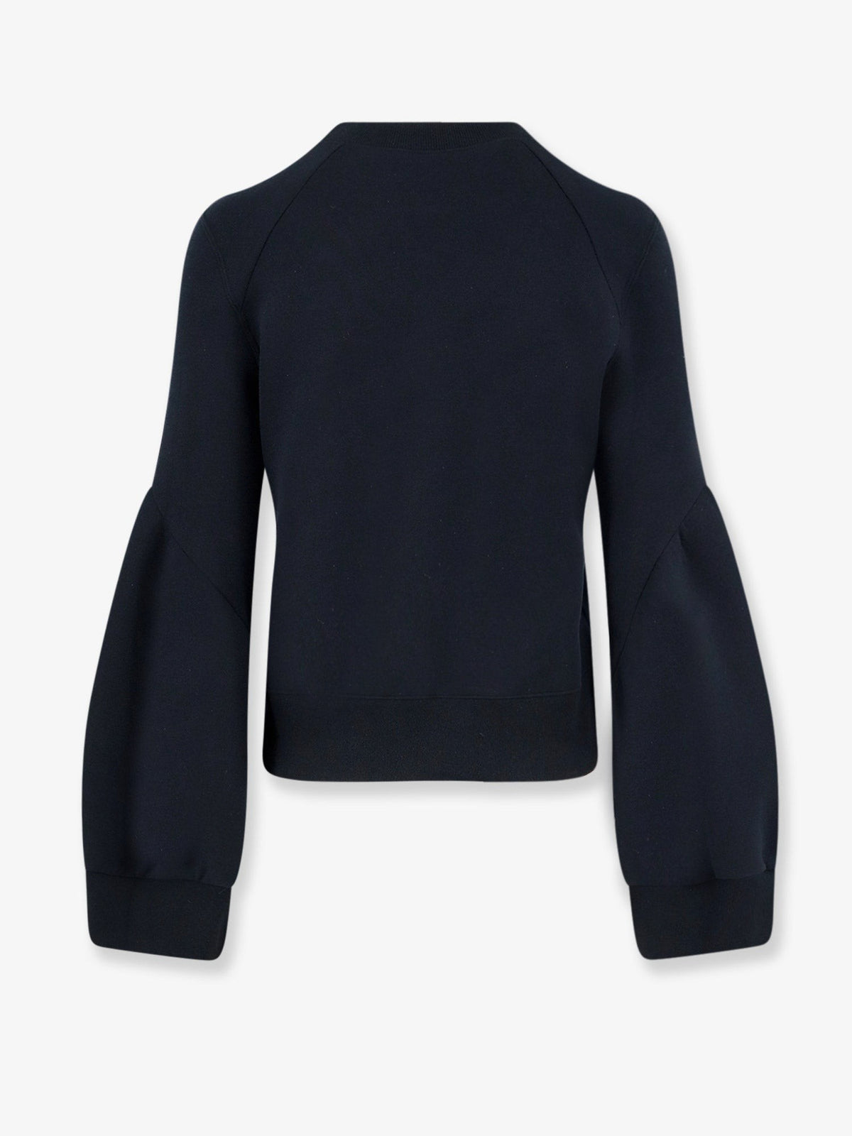 Sponge Sweat cotton blend sweater